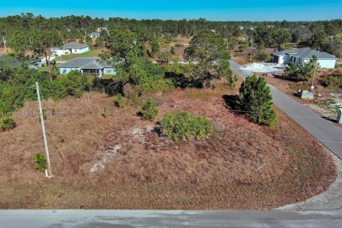 Land in Lehigh Acres, Florida № 2164296 - photo 5