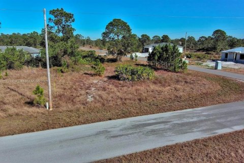Land in Lehigh Acres, Florida № 2164296