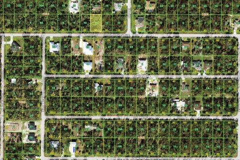 Land in Port Charlotte, Florida № 2162078 - photo 3