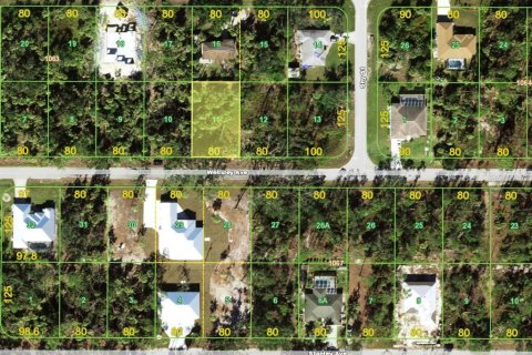 Land in Port Charlotte, Florida № 2162078 - photo 2