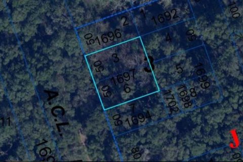Land in High Springs, Florida № 1733283 - photo 3