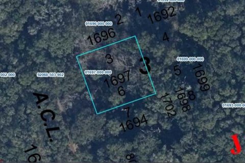 Land in High Springs, Florida № 1733283 - photo 1