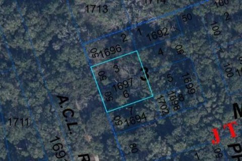 Land in High Springs, Florida № 1733283 - photo 4