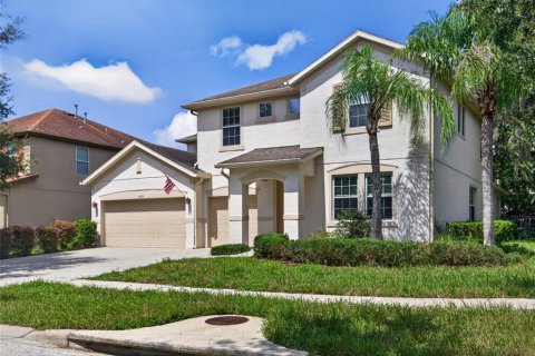 Villa ou maison à Fish Hawk, Floride 4 chambres, 319.21 m2 № 2364938
