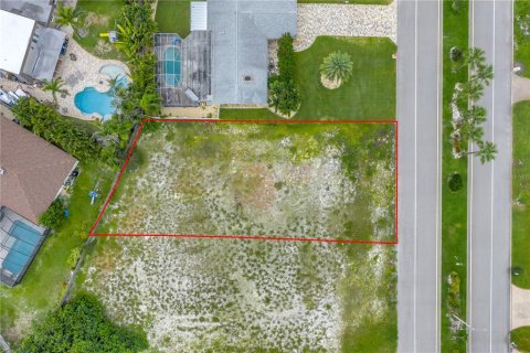 Land in Saint Petersburg, Florida № 1837145 - photo 14