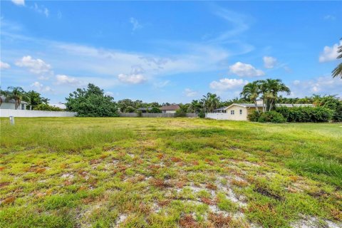 Land in Saint Petersburg, Florida № 1837145 - photo 12