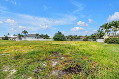 Land in Saint Petersburg, Florida № 1837145 - photo 13