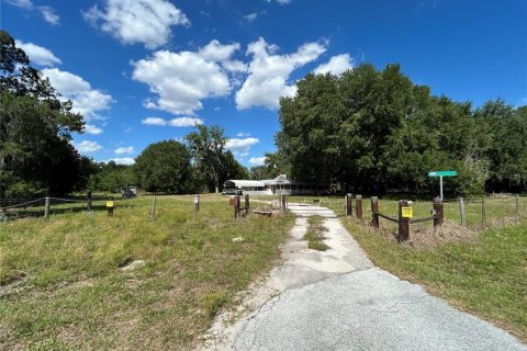 Commercial property in Wildwood, Florida 115.01 sq.m. № 2219466 - photo 2