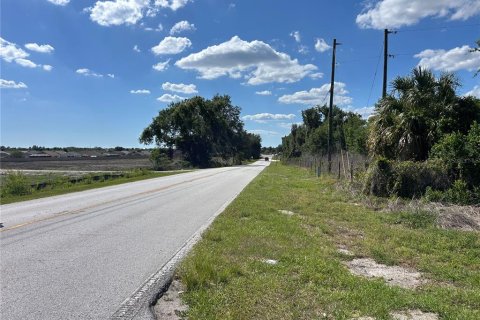 Commercial property in Wildwood, Florida 115.01 sq.m. № 2219466 - photo 4