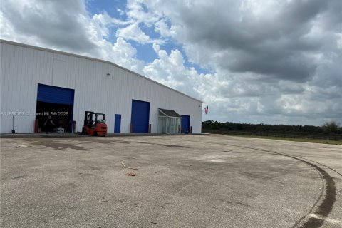 Commercial property in Moore Haven, Florida № 1979228 - photo 5