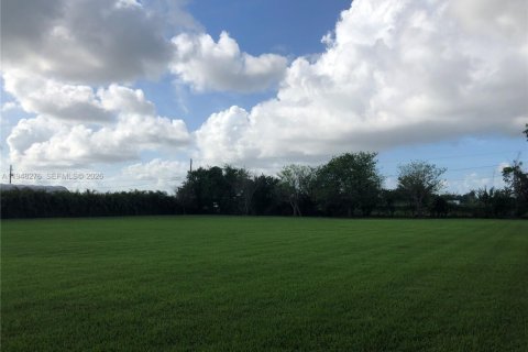 Villa ou maison à vendre à Homestead, Floride: 4 chambres, 372.91 m2 № 2004229 - photo 7