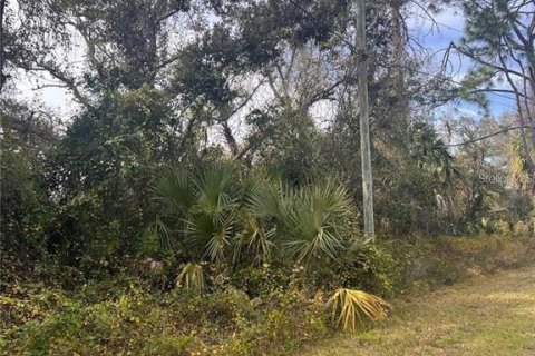 Land in North Port, Florida № 2351959
