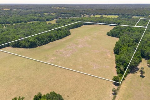 Terrain à Reddick, Floride № 2132032