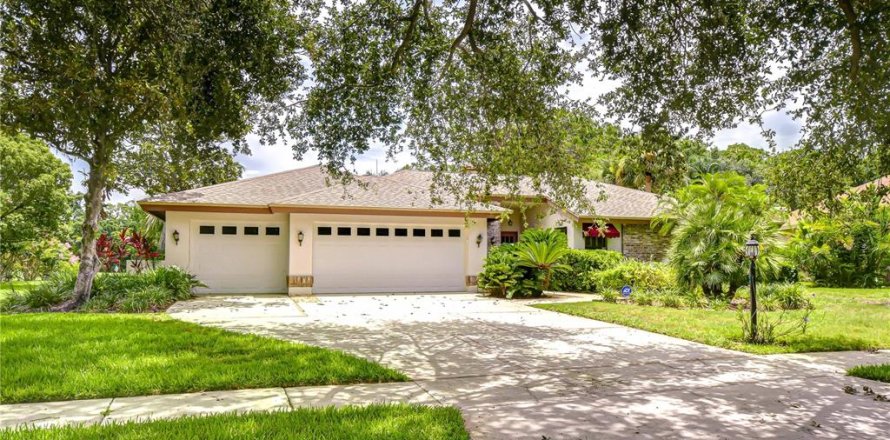 House in Tampa, Florida 4 bedrooms, 261.52 sq.m. № 1838775