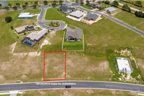 Land in Auburndale, Florida № 2221724
