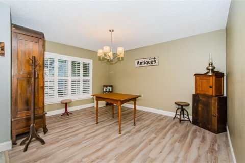 House in Temple Terrace, Florida 4 bedrooms, 252.42 sq.m. № 1718748 - photo 10