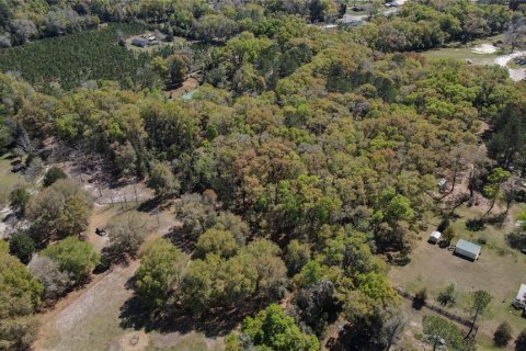 Land in High Springs, Florida № 1081792 - photo 2