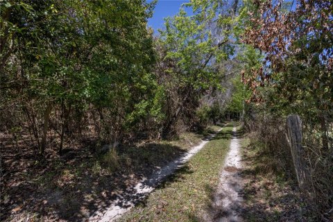 Land in High Springs, Florida № 1081792 - photo 8
