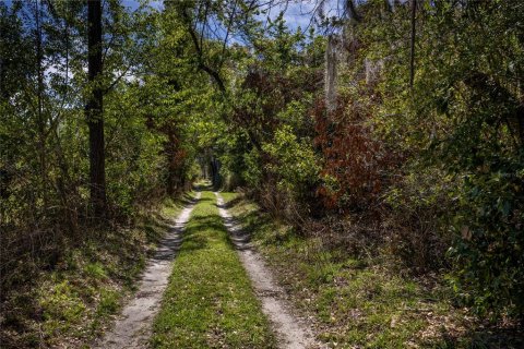 Land in High Springs, Florida № 1081792 - photo 7