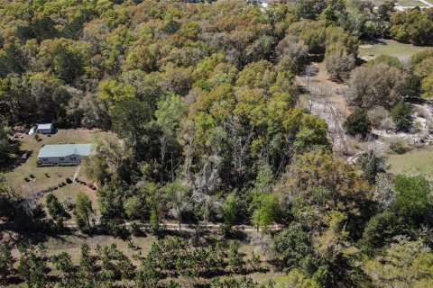 Land in High Springs, Florida № 1081792 - photo 12