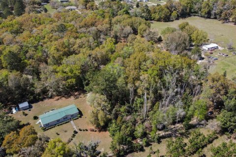 Land in High Springs, Florida № 1081792 - photo 13