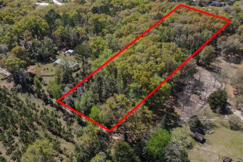 Land in High Springs, Florida № 1081792 - photo 1