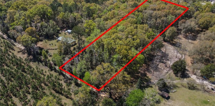 Land in High Springs, Florida № 1081792
