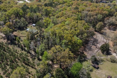 Land in High Springs, Florida № 1081792 - photo 11