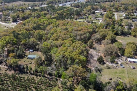 Land in High Springs, Florida № 1081792 - photo 15