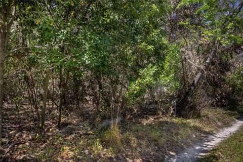 Land in High Springs, Florida № 1081792 - photo 9