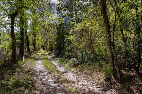 Land in High Springs, Florida № 1081792 - photo 5