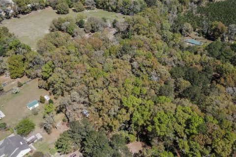 Land in High Springs, Florida № 1081792 - photo 3