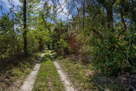 Land in High Springs, Florida № 1081792 - photo 6