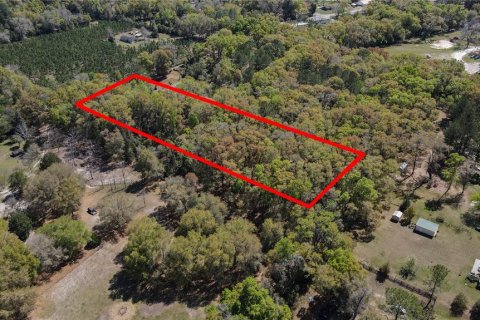 Land in High Springs, Florida № 1081792 - photo 4