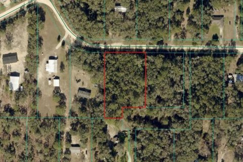 Land in Ocala, Florida № 2378127