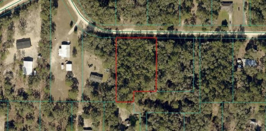 Land in Ocala, Florida № 2378127