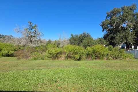 Villa ou maison à louer à Zephyrhills, Floride: 3 chambres, 150.32 m2 № 2430825 - photo 27
