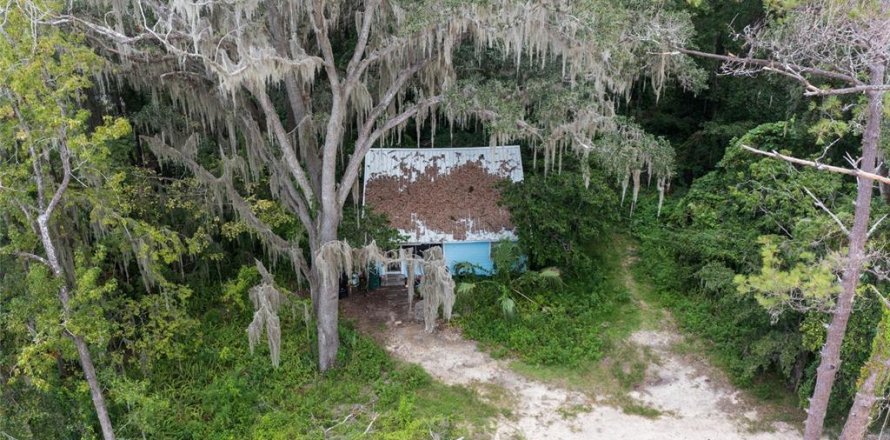 Commercial property in Gainesville, Florida 82.78 sq.m. № 1339888