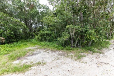 Commercial property in Gainesville, Florida 82.78 sq.m. № 1339888 - photo 13