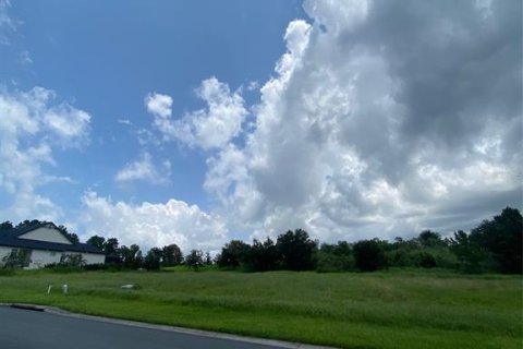 Land in Brooksville, Florida № 2267147 - photo 3