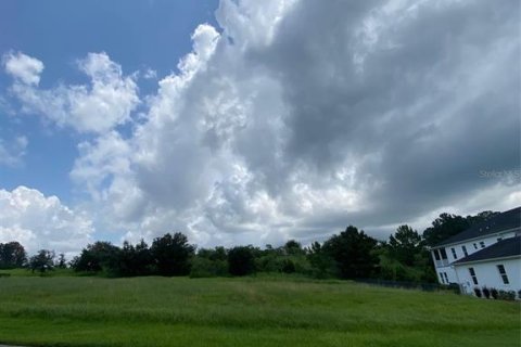Land in Brooksville, Florida № 2267147 - photo 4