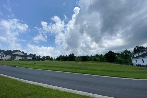 Terrain à Brooksville, Floride № 2267147