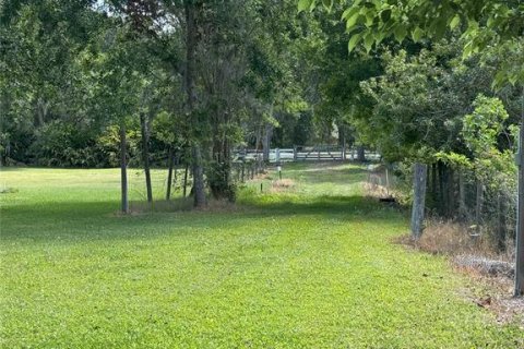 Terreno en venta en Dover, Florida № 1634069 - foto 3