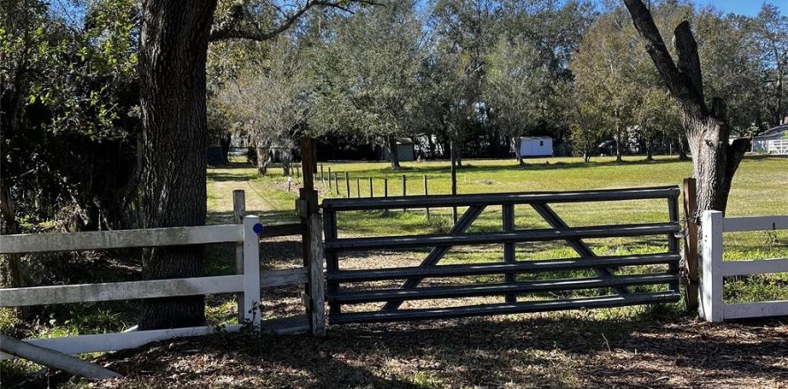 Terreno en Dover, Florida № 1634069