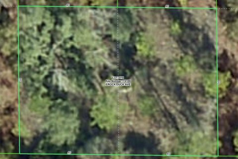 Terrain à Brooksville, Floride № 2159815