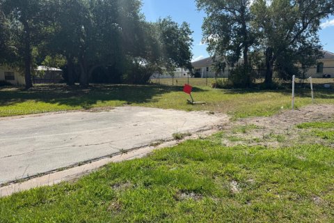 Terreno en venta en Fort Myers, Florida № 2054264 - foto 3