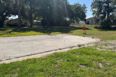 Terreno en venta en Fort Myers, Florida № 2054264 - foto 2