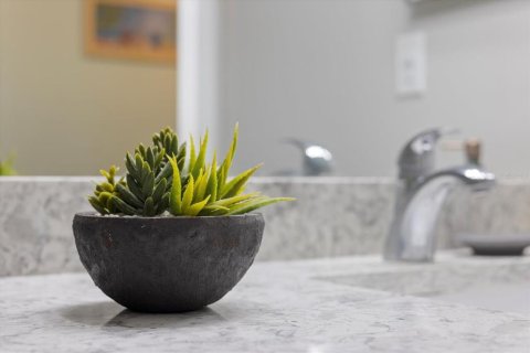 Condominio en alquiler en Sarasota, Florida, 1 dormitorio, 47.94 m2 № 1558976 - foto 20