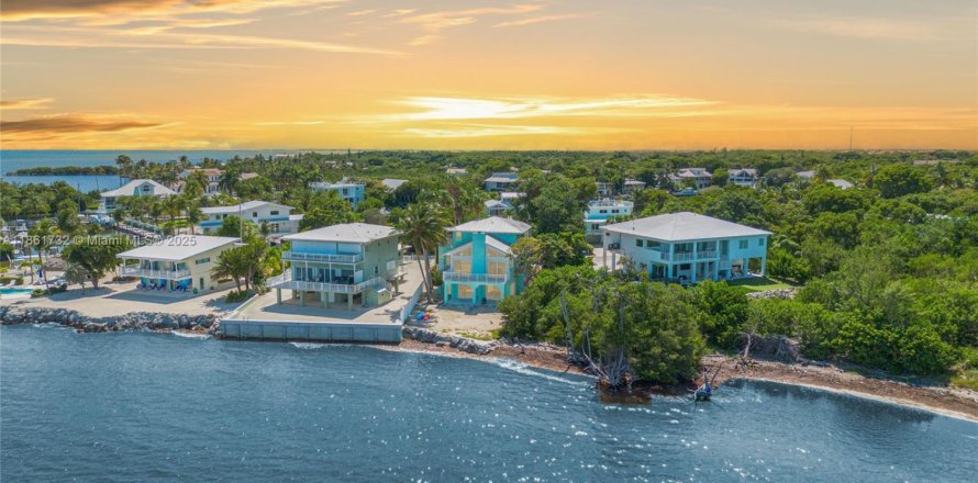 House in Islamorada, Village of Islands, Florida 3 bedrooms № 1892636