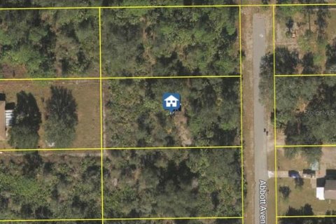 Land in Alva, Florida № 2162180